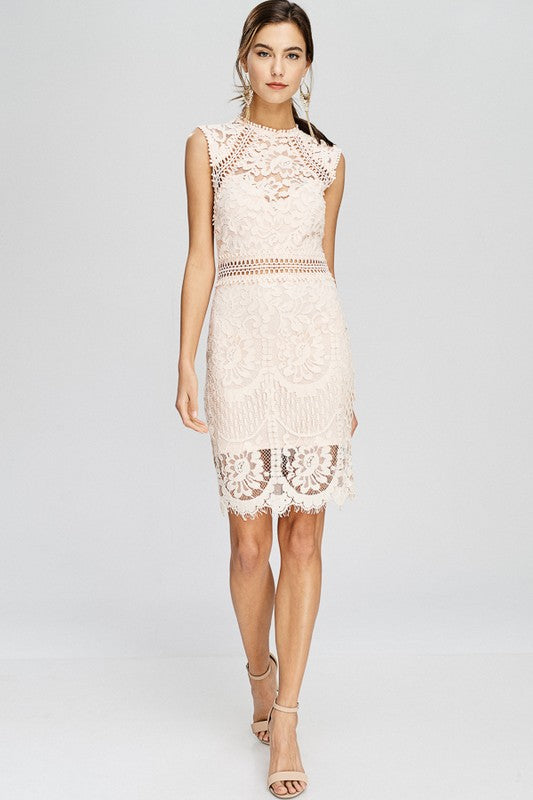 Blush mock neck lace dress